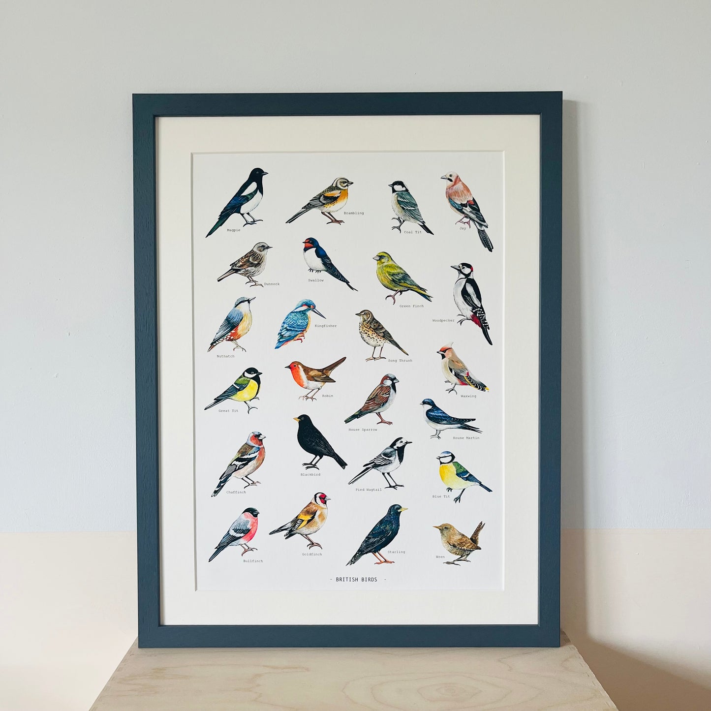 British Birds Illustrated print, hand painted and illustrated by Charlotte Jones Design.