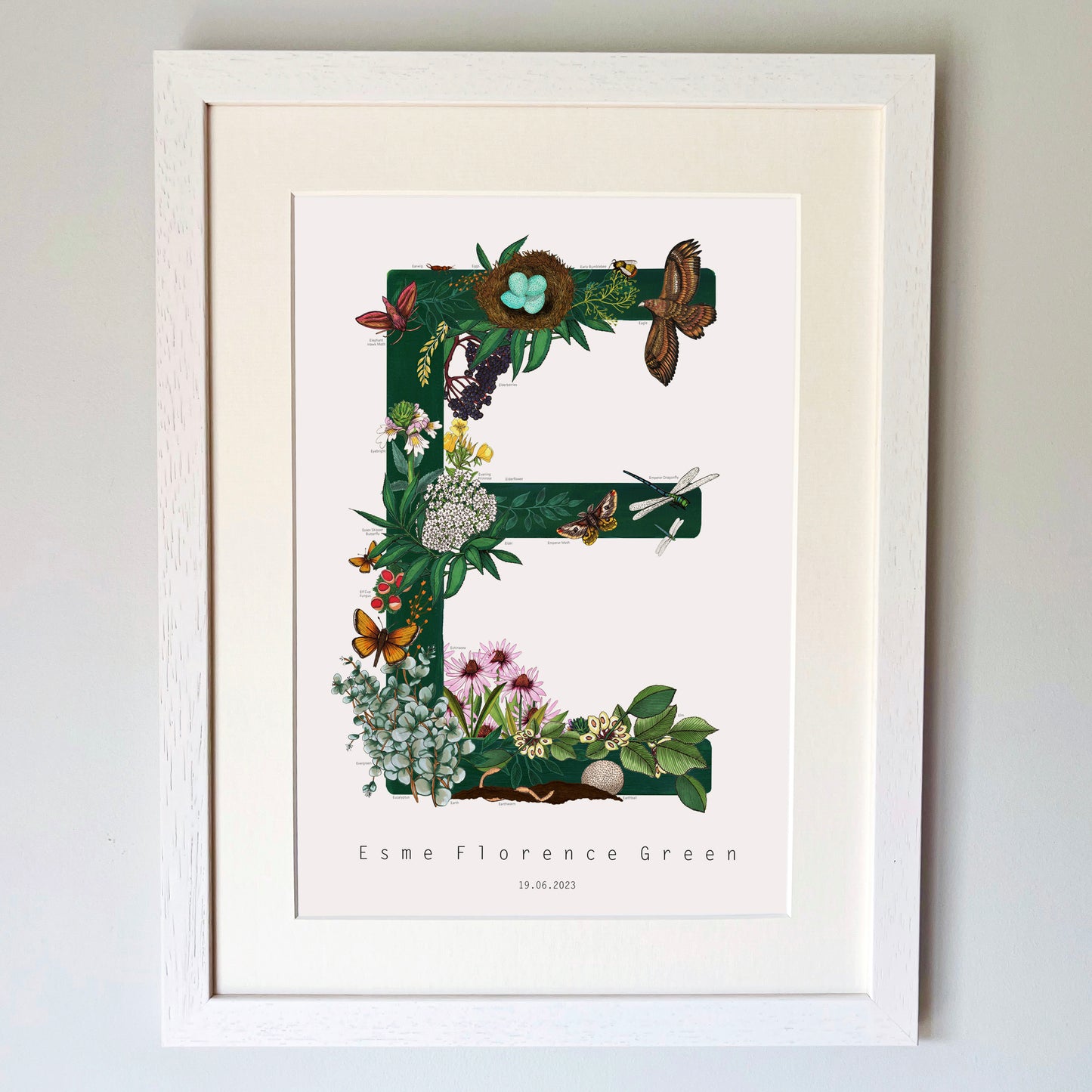 British Wildlife Letter Print