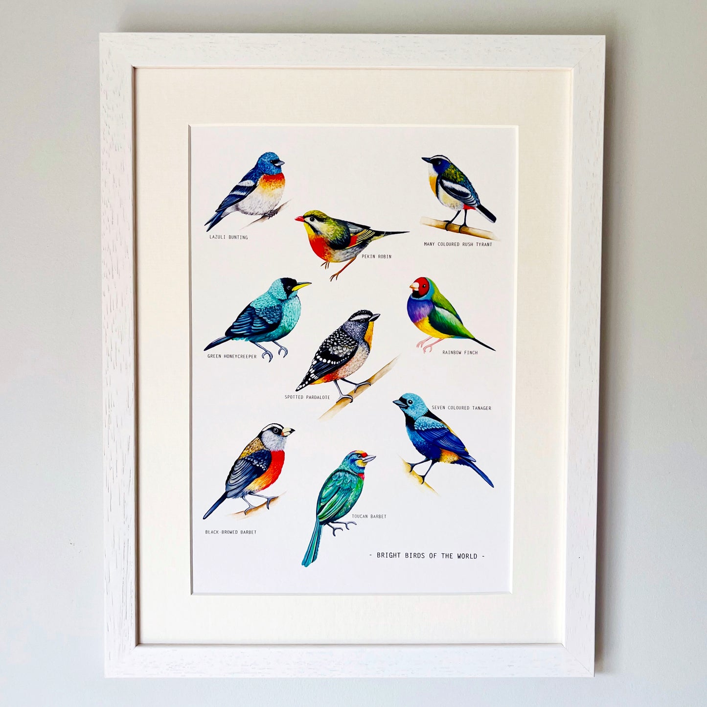 Bright Birds Of The World Print