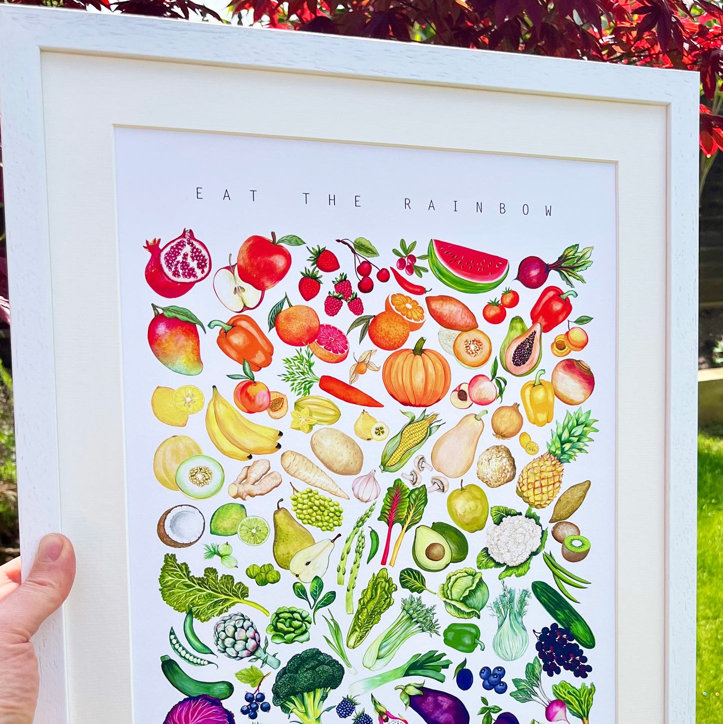 Rainbow Fruits and Vegetables Print