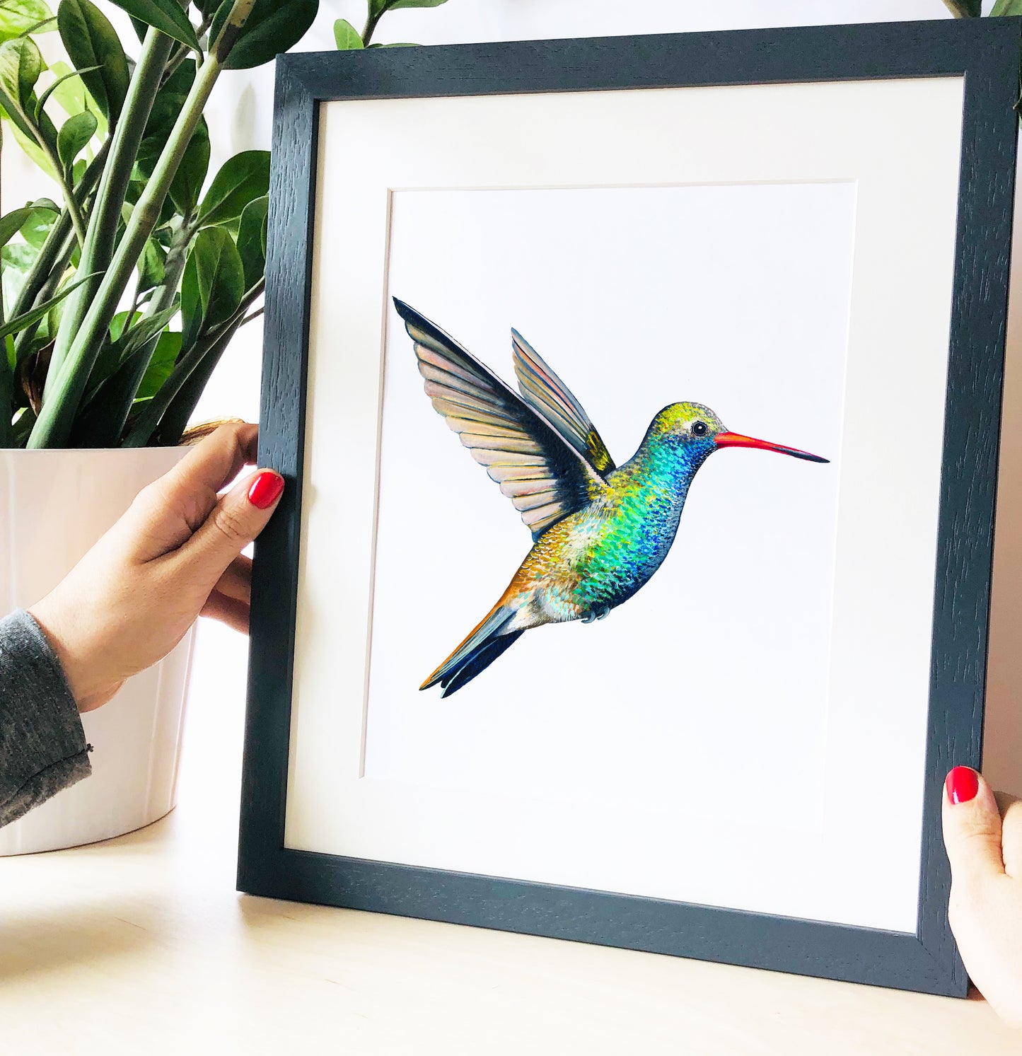 Broad Billed Hummingbird Print hand painted and illustrated by Charlotte Jones Design.