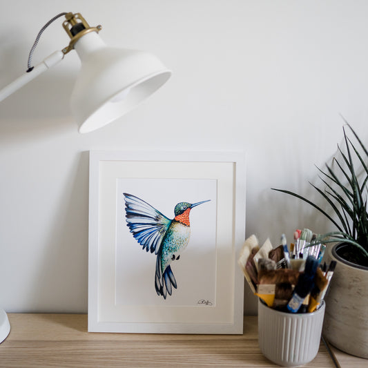 Ruby-Throated Hummingbird Print hand painted and illustrated by Charlotte Jones Design.