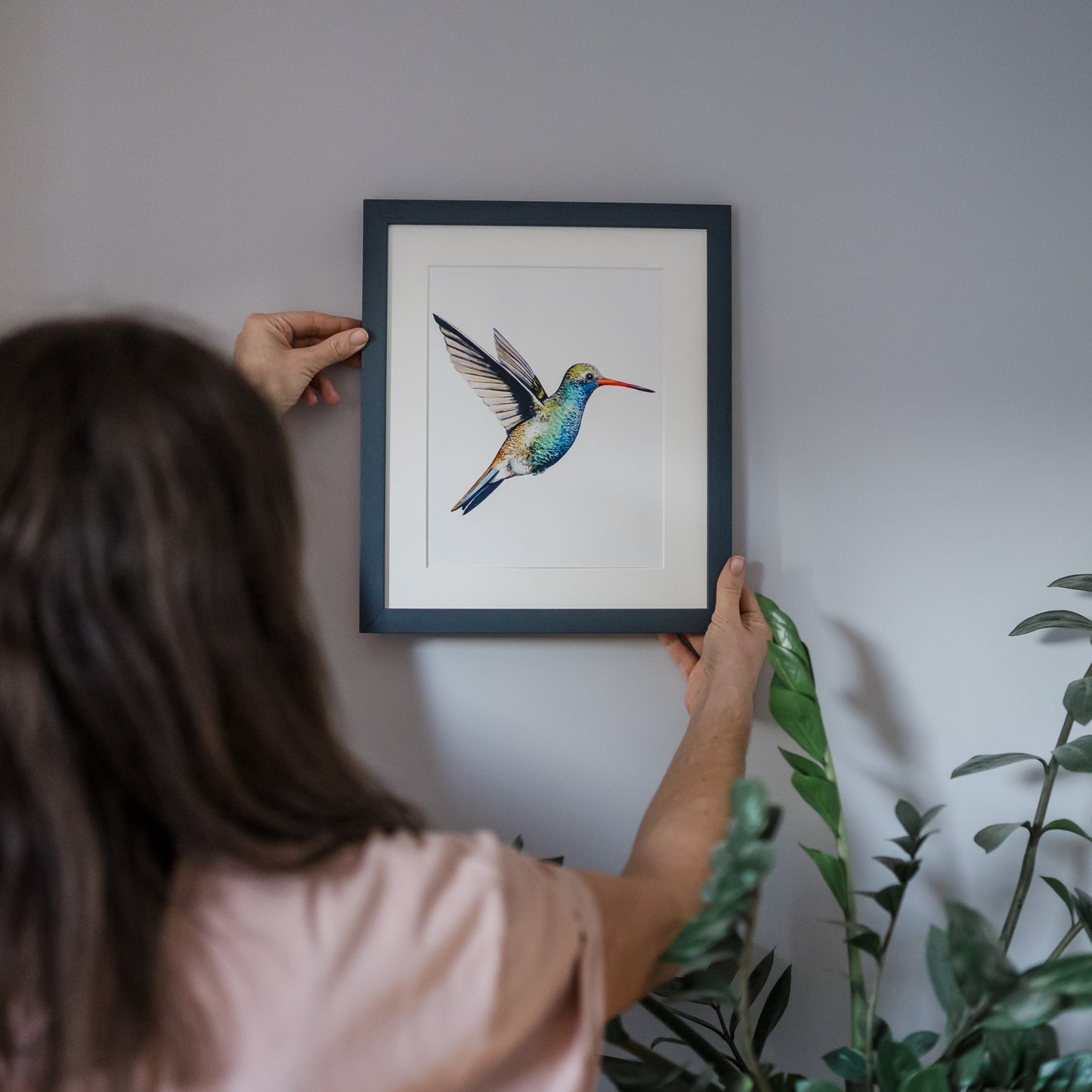 Broad Billed Hummingbird Print hand painted and illustrated by Charlotte Jones Design.