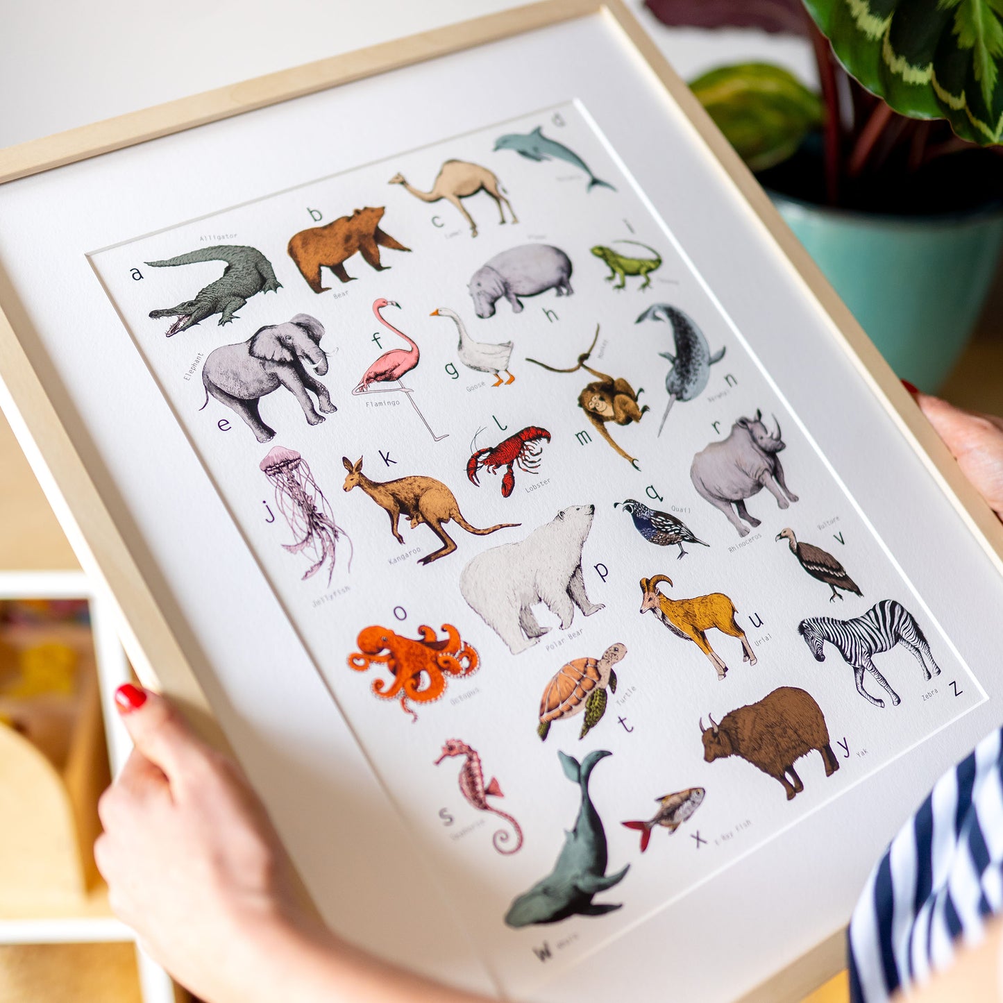 Illustrated Animal Alphabet Print hand painted and illustrated by Charlotte Jones Design.