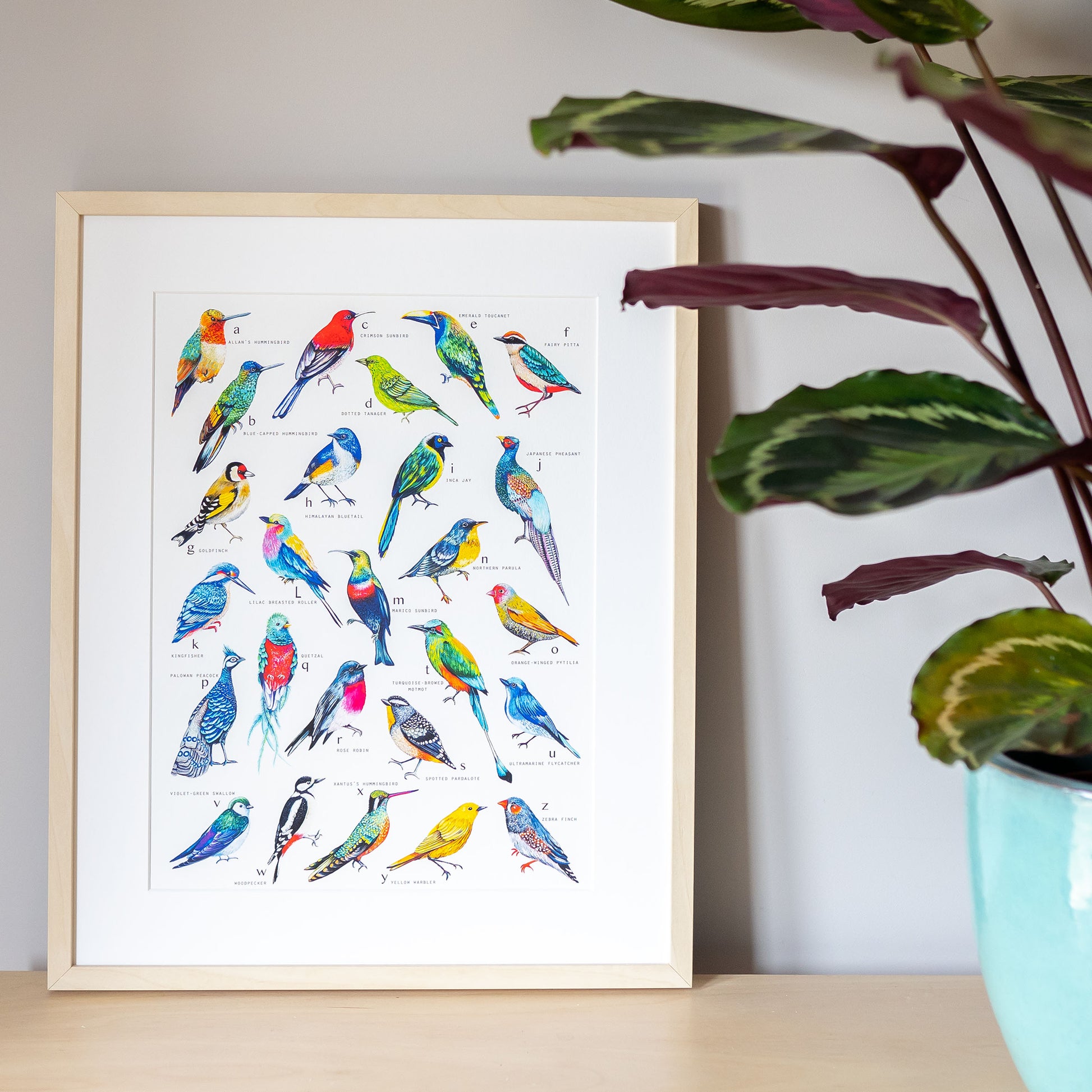 A to Z of Colourful World Birds Print by Charlotte Jones Design