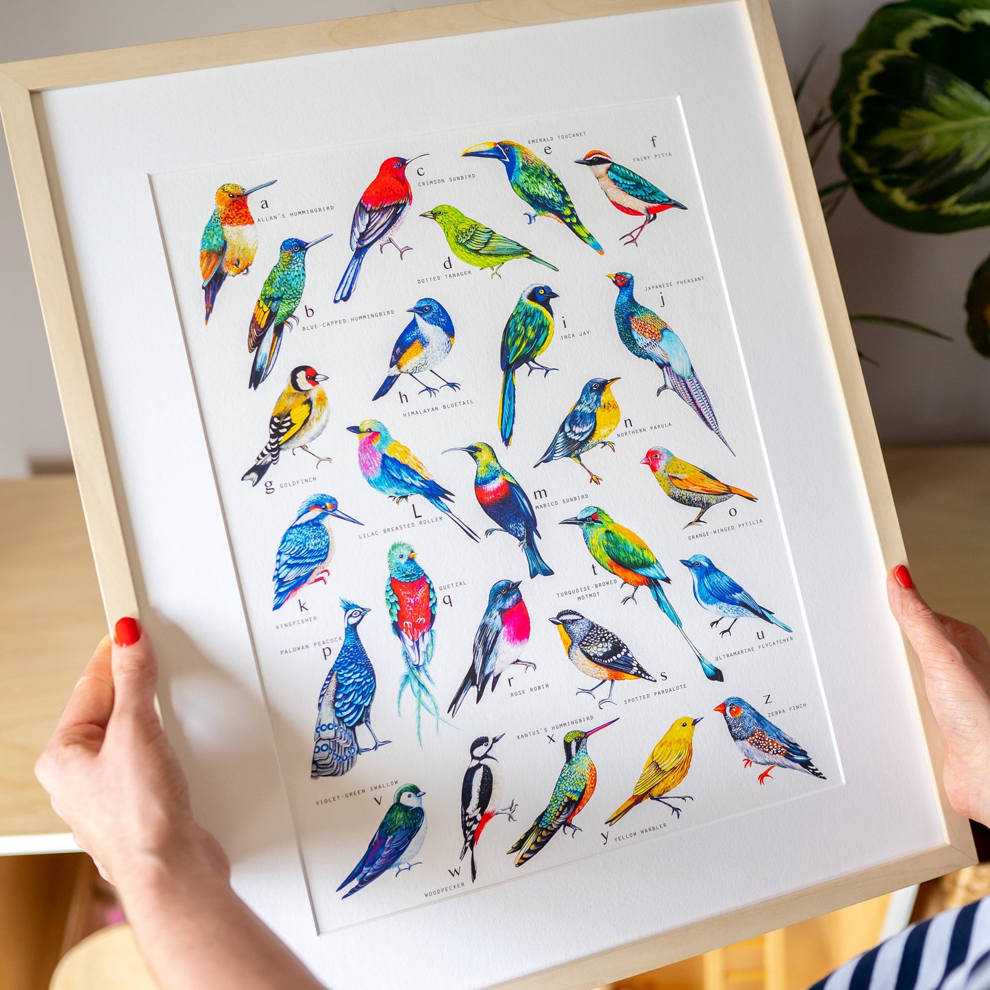 A to Z of Colourful World Birds Print by Charlotte Jones Design