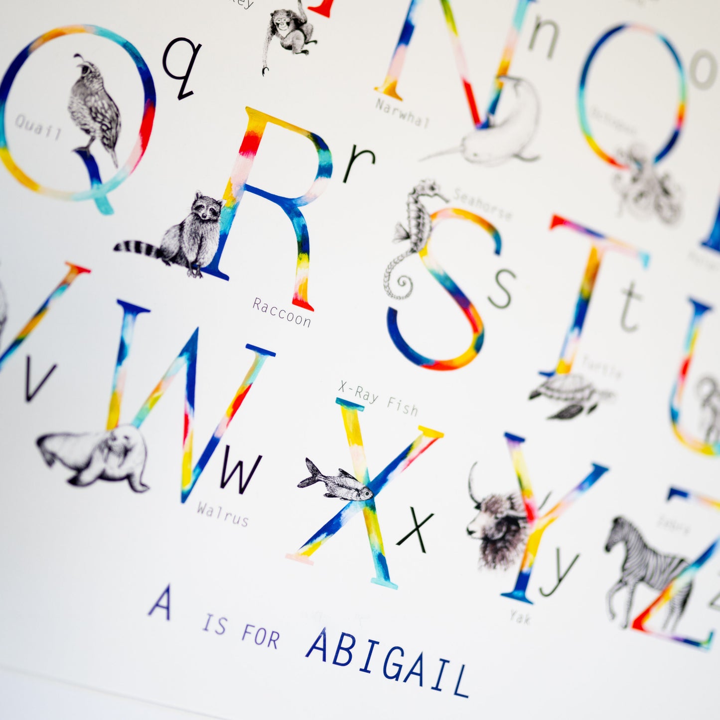 Personalised Animal Alphabet Print hand painted and illustrated by Charlotte Jones Design.