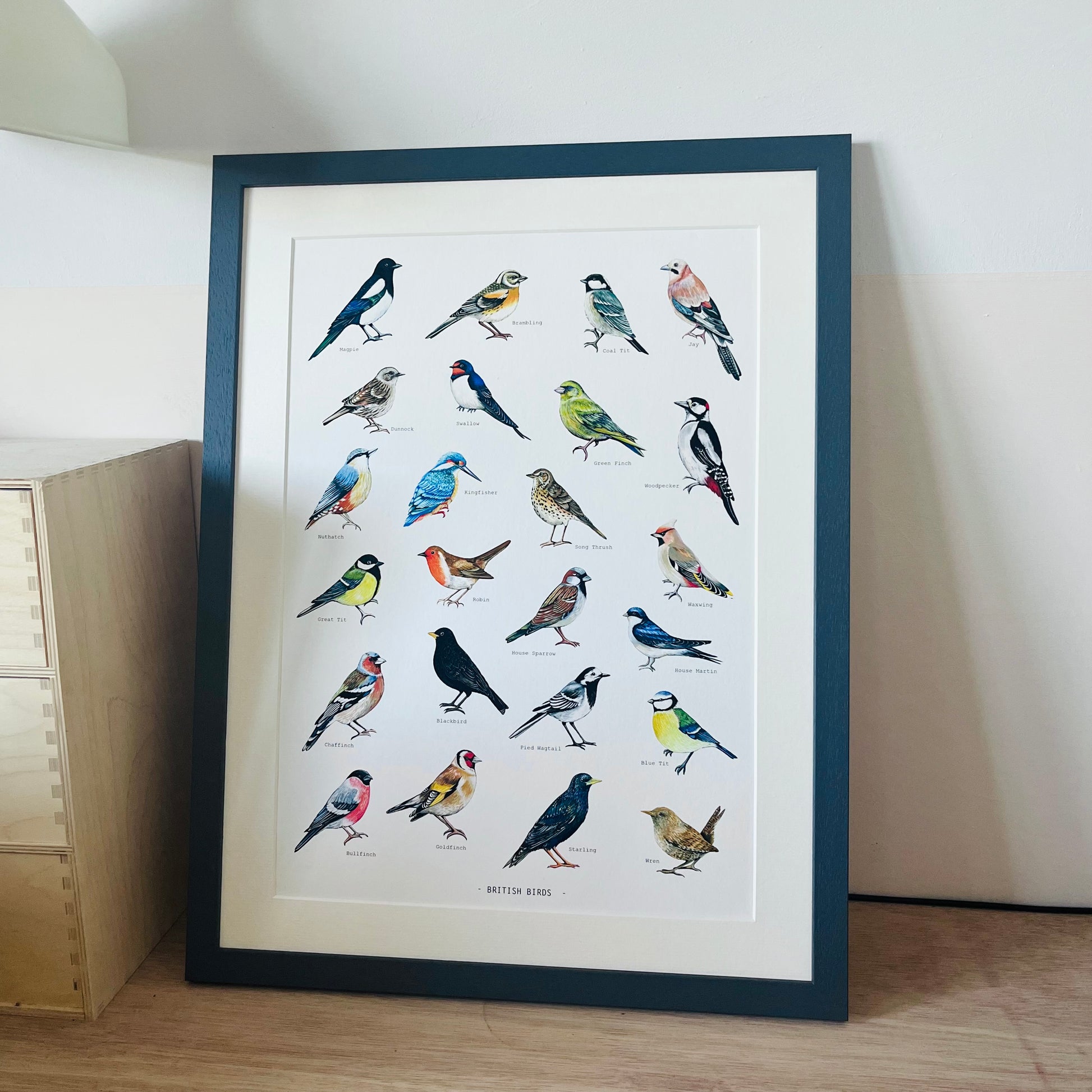 British Birds Illustrated print, hand painted and illustrated by Charlotte Jones Design.  