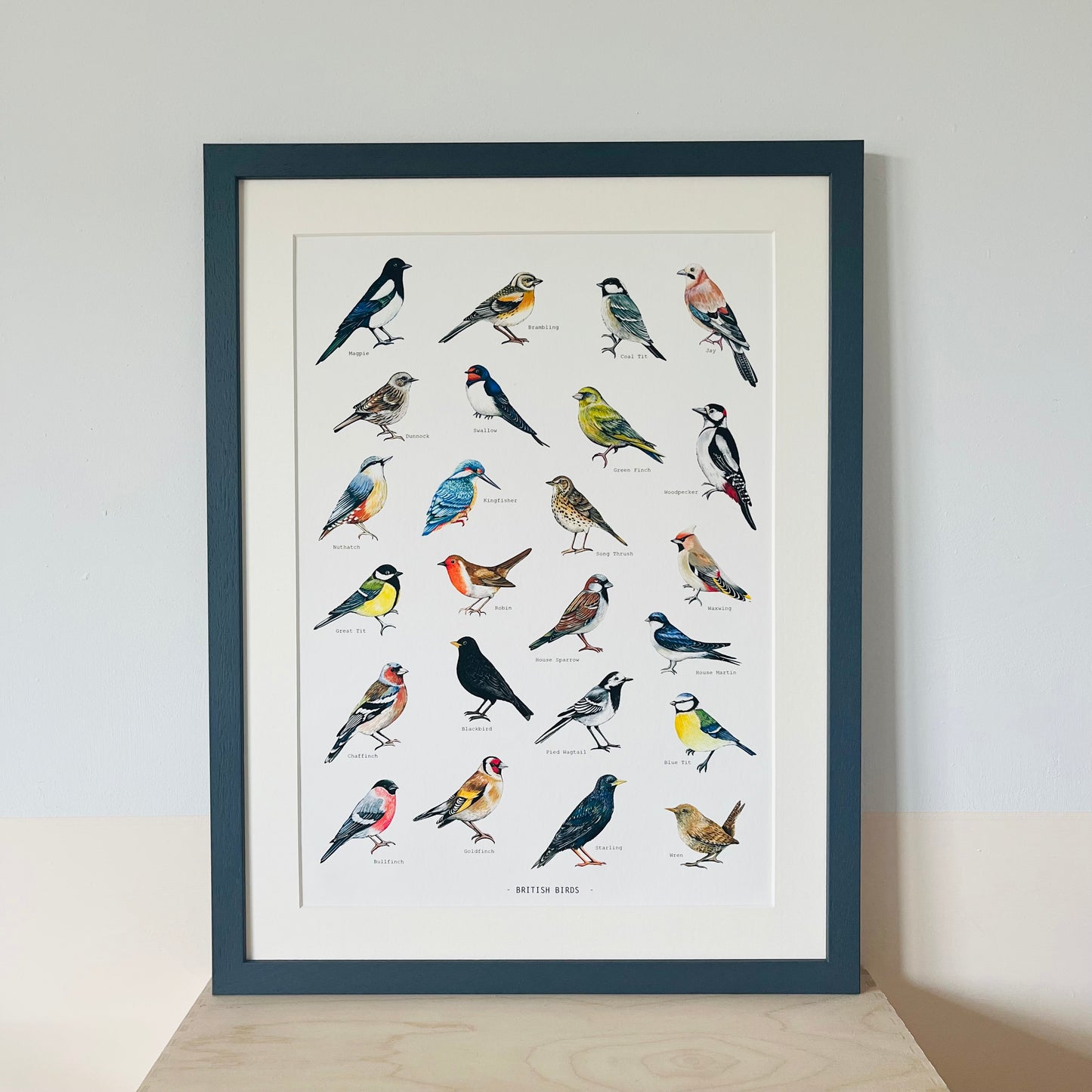 British Birds Illustrated print, hand painted and illustrated by Charlotte Jones Design.  