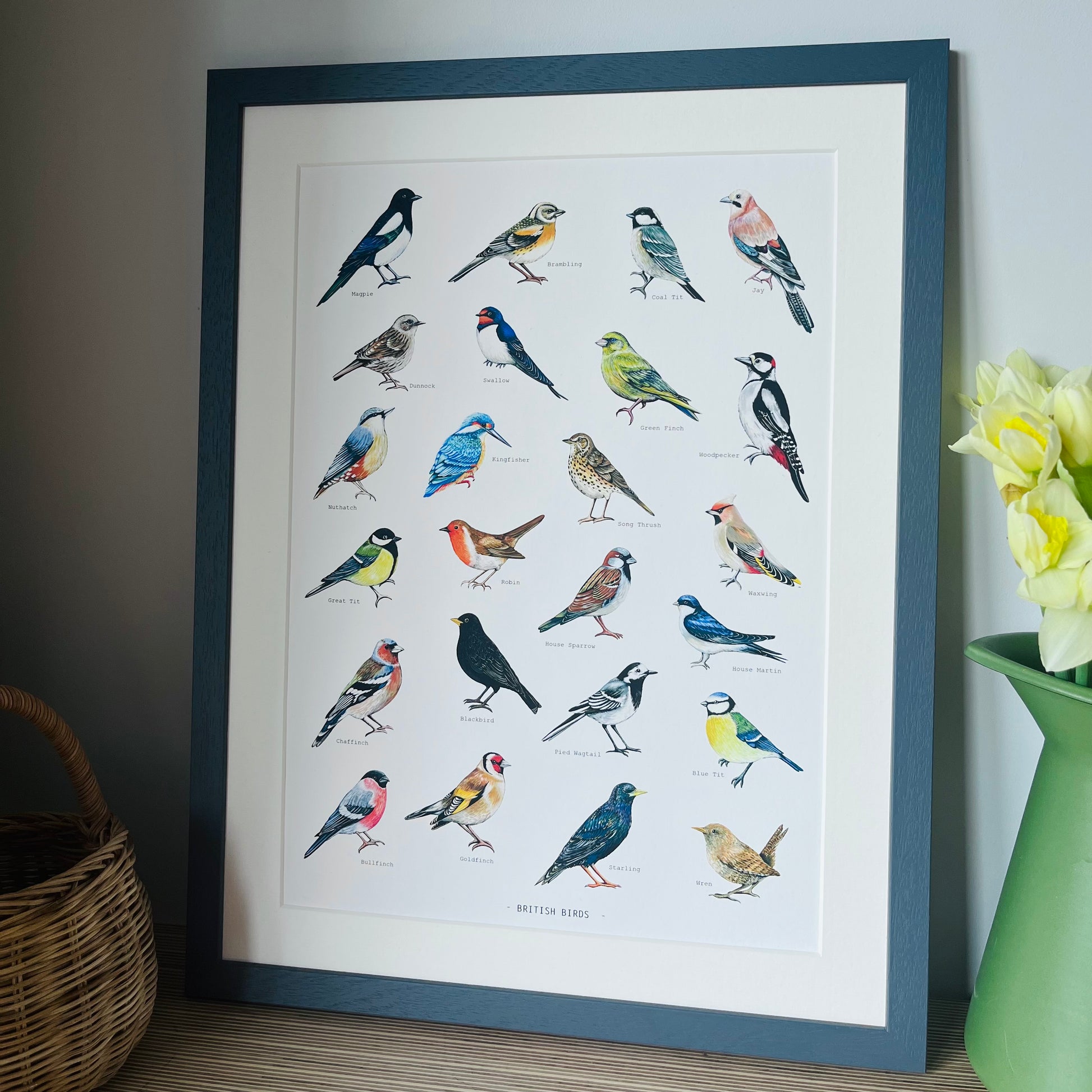 British Birds Illustrated print, hand painted and illustrated by Charlotte Jones Design.  