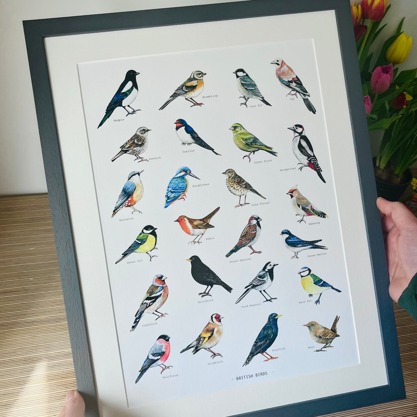 British Birds Illustrated print, hand painted and illustrated by Charlotte Jones Design.  