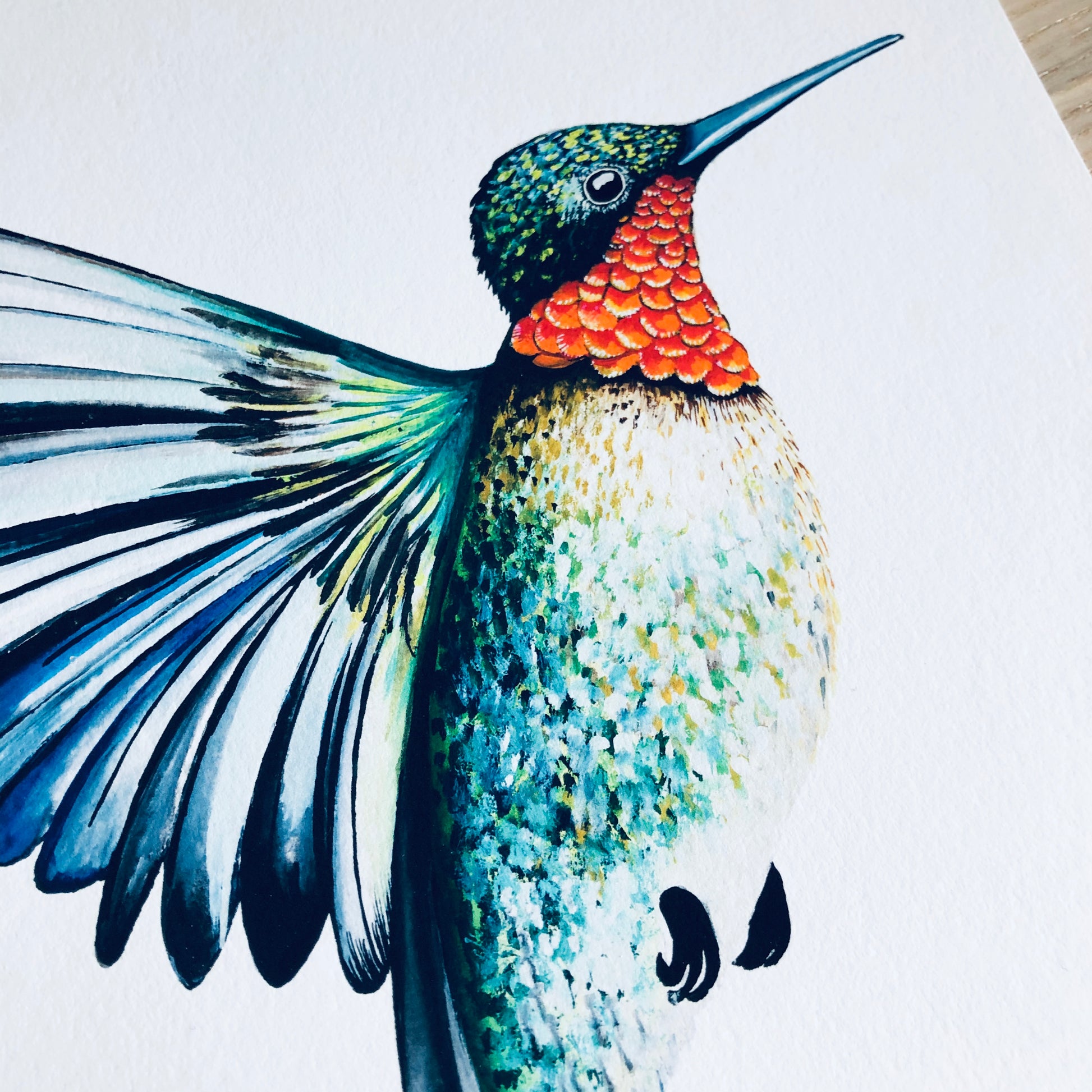 Ruby-Throated Hummingbird Print hand painted and illustrated by Charlotte Jones Design.