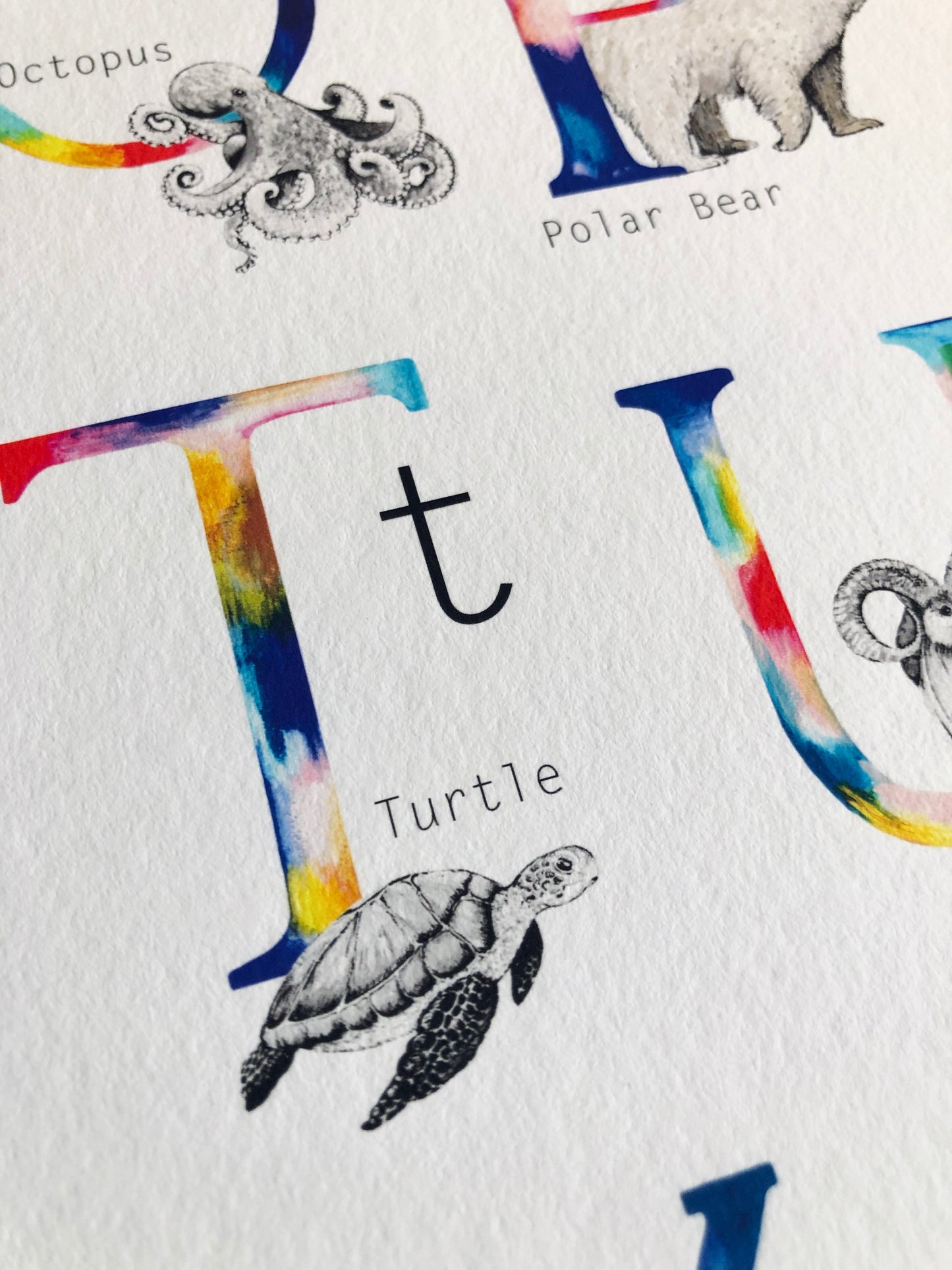  Personalised Animal Alphabet Print hand painted and illustrated by Charlotte Jones Design.