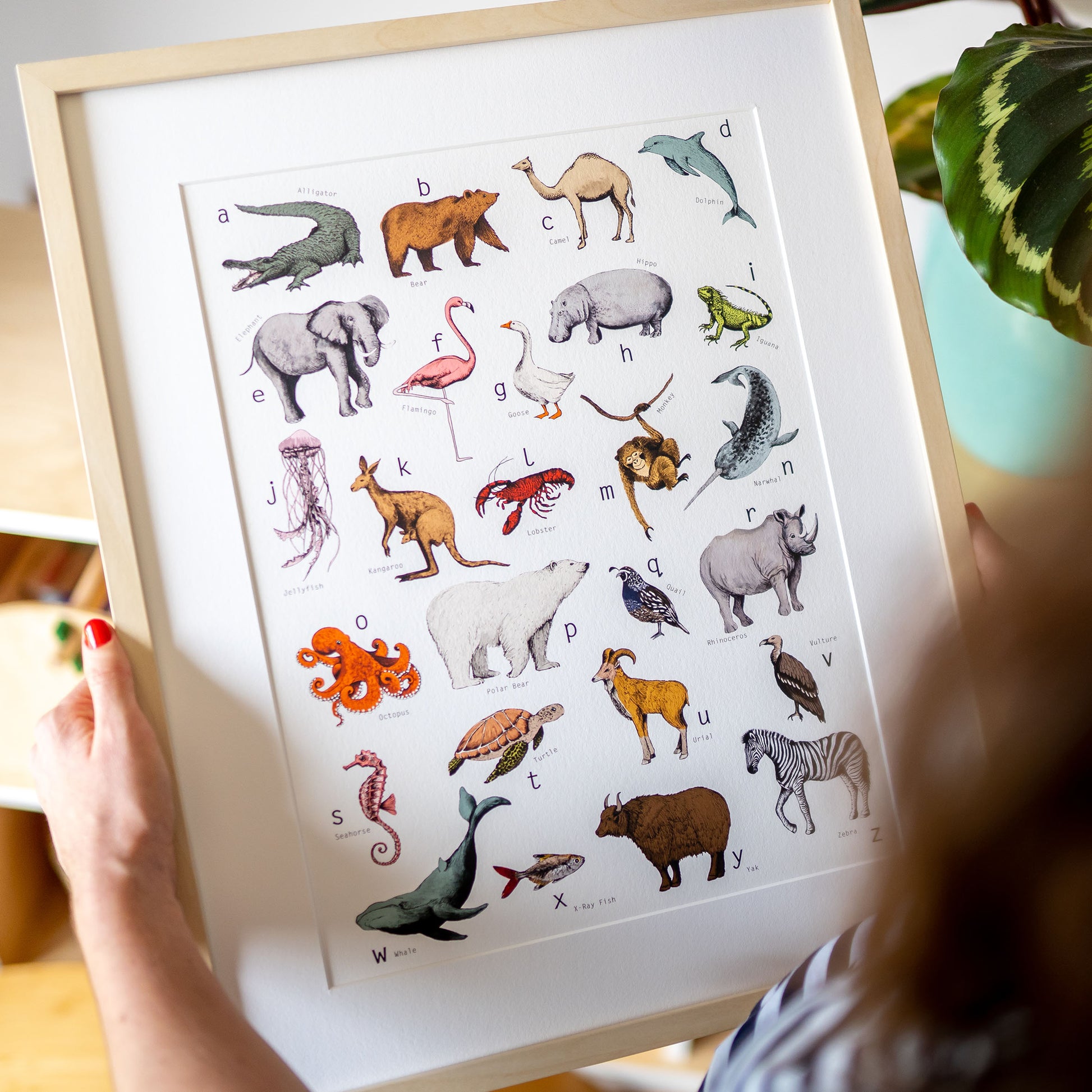 Illustrated Animal Alphabet Print hand painted and illustrated by Charlotte Jones Design. 
