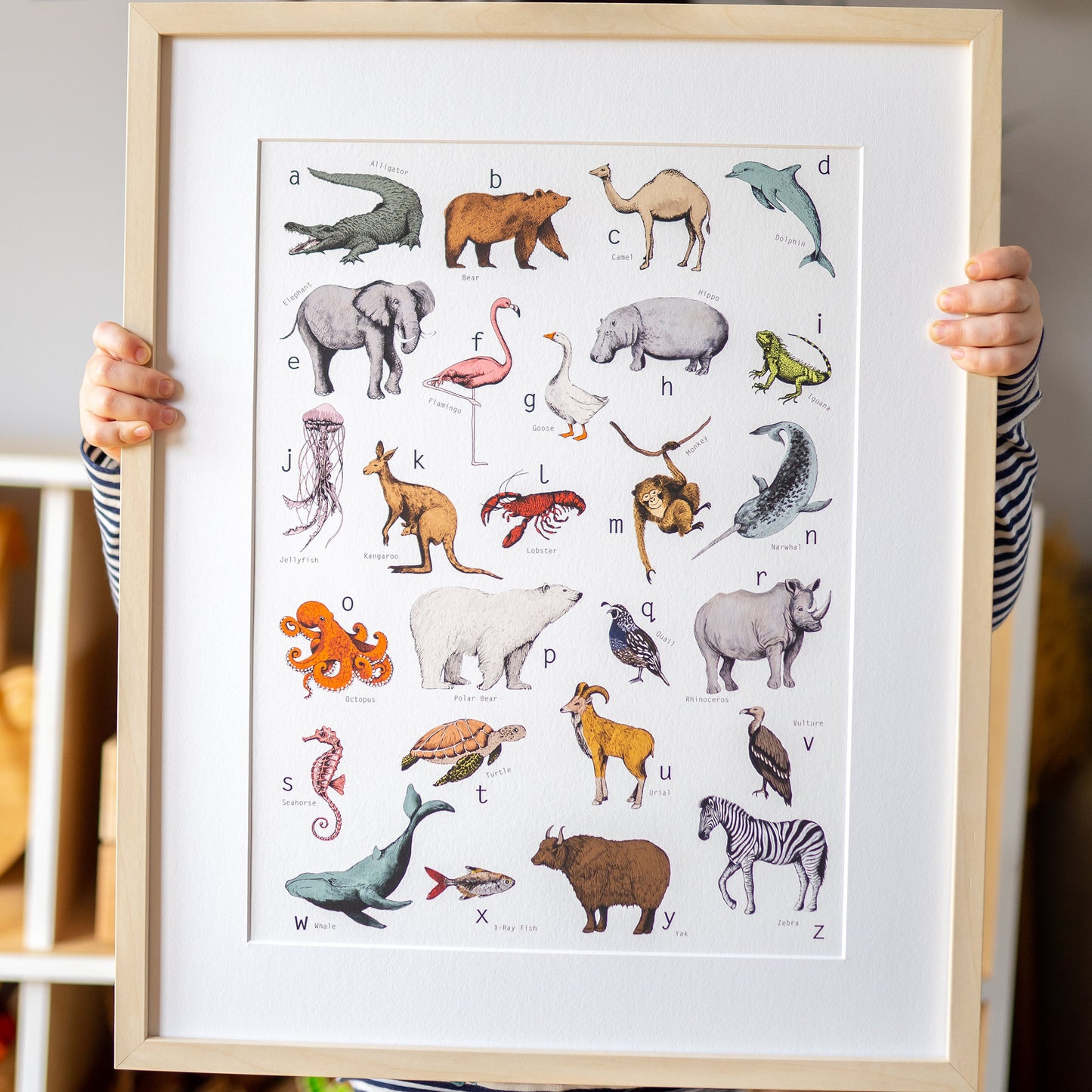 Illustrated Animal Alphabet Print hand painted and illustrated by Charlotte Jones Design.